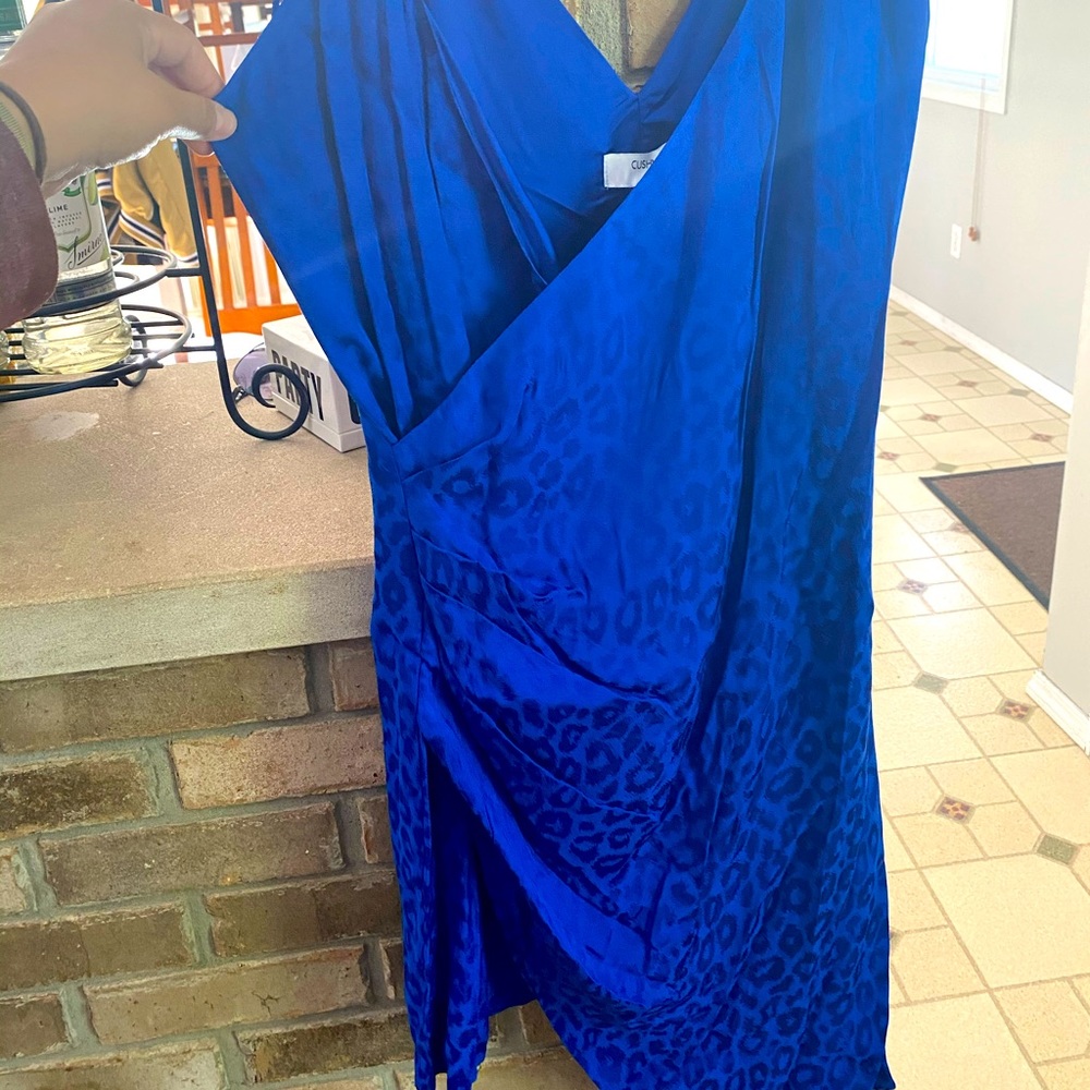 Cheetah print royal blue dress.